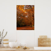 Mooie herfstbomen poster (Keuken)