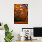 Mooie herfstbomen poster (Thuiskantoor)