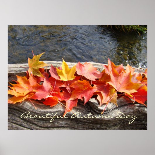 Mooie herfstdag kunstprints cadeaus Herfstbladeren Poster (Voorkant)