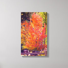 Mooie herfstkleuren 2 canvas afdruk