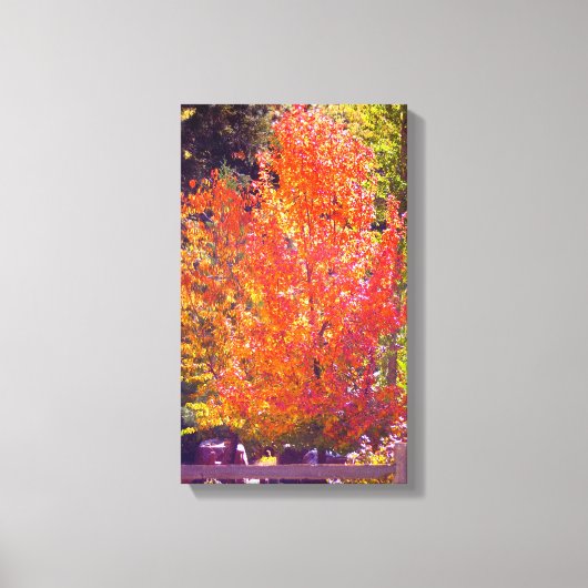Mooie herfstkleuren 2 canvas afdruk (Voorkant)