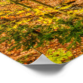 Mooie herfstkleuren bomen bos poster (Hoek)