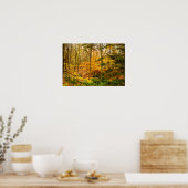 Mooie herfstkleuren bomen bos poster (Keuken)