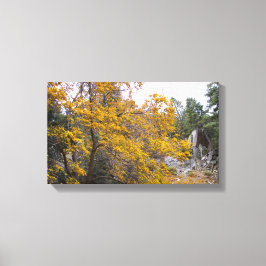 Mooie herfstkleuren canvas afdruk