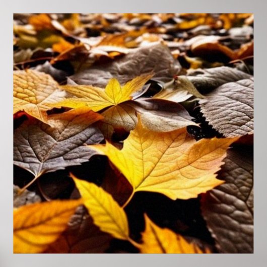 Mooie herfstpagina's op de grond 4 poster (Voorkant)