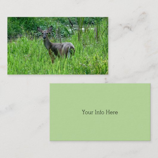 Mooie herten Visitekaartjes (Voorkant / Achterkant)