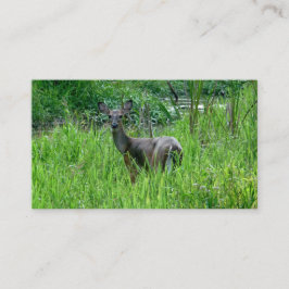 Mooie herten Visitekaartjes