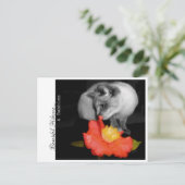 Mooie Hibiscus...& bellen Briefkaart (Staand voorkant)