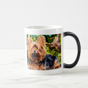 Mooie Hond Aai Yorkie Vrede Liefde Lotsbestemming Magische Mok
