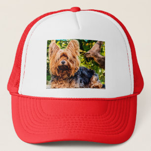 Mooie Hond Aai Yorkie Vrede Liefde Lotsbestemming Trucker Pet