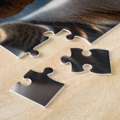 Mooie hond en kat spelen legpuzzel (Zijkant)