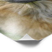 Mooie hond foto afdruk (Hoek)