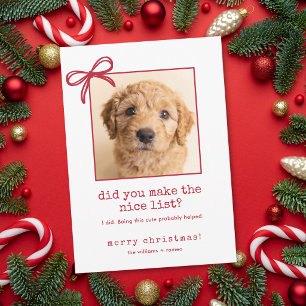 Mooie hond grappige foto kerst vakantiekaart feestdagenkaart