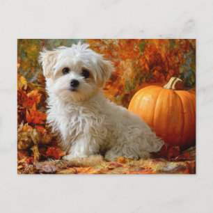Mooie Hond Herfst Pompoen Herfstbladeren Ontwerp Briefkaart