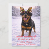 Mooie Hond Kerst Mooie Quote | Kerstkaart (Voorkant)