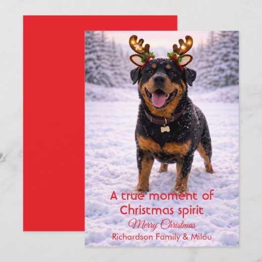 Mooie Hond Kerst Mooie Quote | Kerstkaart (Voorkant / Achterkant)