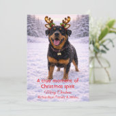 Mooie Hond Kerst Mooie Quote | Kerstkaart (Staand voorkant)