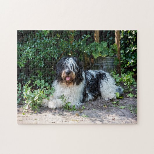 mooie hond legpuzzel (Horizontaal)