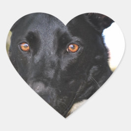 Mooie hond met gevelogen hart sticker