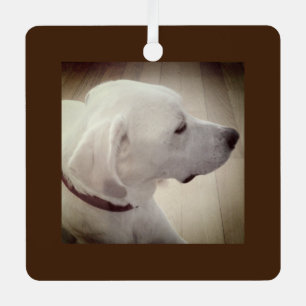 Mooie hond profiel foto donkerbruin rustiek metalen ornament