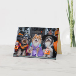 Mooie Hond Trick-or-Treat Halloween Kaart