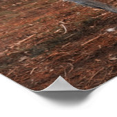 Mooie hond van Lurcher Poster (Hoek)