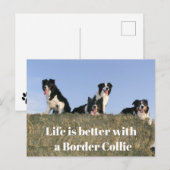 Mooie honden briefkaart (Voorkant / Achterkant)