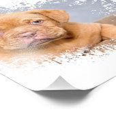 Mooie Honden Muurkunst Canvas – Moderne Huisdier F Foto Afdruk (Hoek)