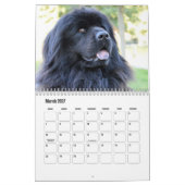 Mooie Hondenkalender Kalender (Mar 2027)