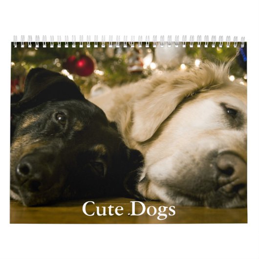 Mooie Hondenkalender Kalender (Hoes)