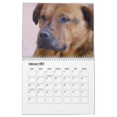 Mooie Hondenkalender Kalender (Feb 2027)
