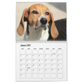 Mooie Hondenkalender Kalender (Jan 2027)