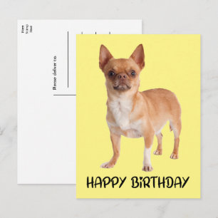 Mooie Hondenpup Gele Grappige Chihuahua Verjaardag Briefkaart