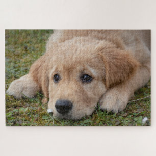 Mooie Hondenpup Legpuzzel
