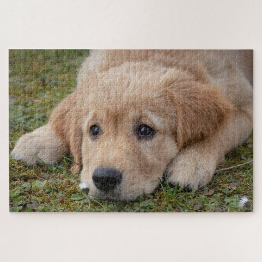 Mooie Hondenpup Legpuzzel (Horizontaal)