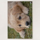Mooie Hondenpup Legpuzzel (Verticaal)