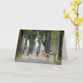 Mooie hondjes op een Natuur Kaart (Gele Bloem)