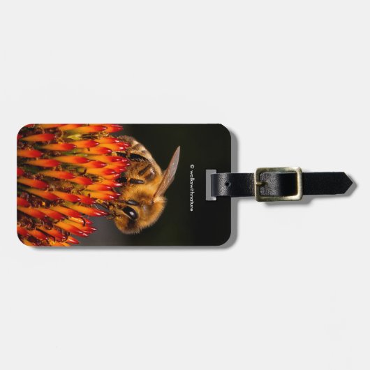 Mooie Honeybee die een Coneflower bestuift Bagagelabel (Voorkant horizontaal)