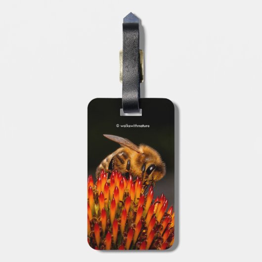 Mooie Honeybee die een Coneflower bestuift Bagagelabel (Achterkant verticaal)