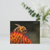 Mooie Honeybee die een Coneflower bestuift Briefkaart (Staand voorkant)
