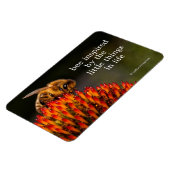 Mooie Honeybee die een Coneflower bestuift Magneet (Linkerzijde)