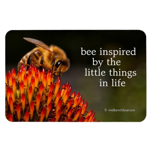 Mooie Honeybee die een Coneflower bestuift Magneet (Horizontaal)