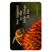 Mooie Honeybee die een Coneflower bestuift Magneet (Verticaal)