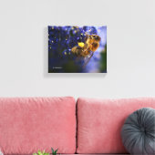 Mooie honingbije op de Californische Lila Canvas Afdruk (Insitu (Woonkamer))