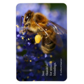 Mooie honingbije op de Californische Lila Magneet (Verticaal)