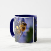 Mooie honingbije op de Californische Lila Mok (Voorkant links)