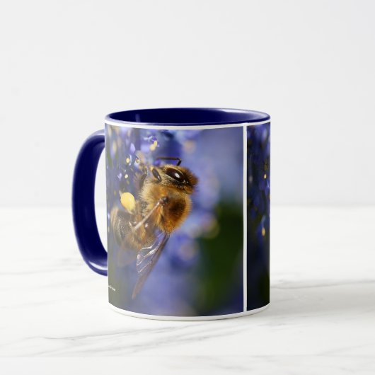 Mooie honingbije op de Californische Lila Mok (Voorkant links)