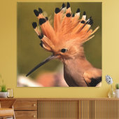 Mooie hoopvogel met kroon op veren canvas afdruk (Insitu (Woonkamer))