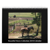 Mooie Horse 2010-agenda Kalender (Hoes)