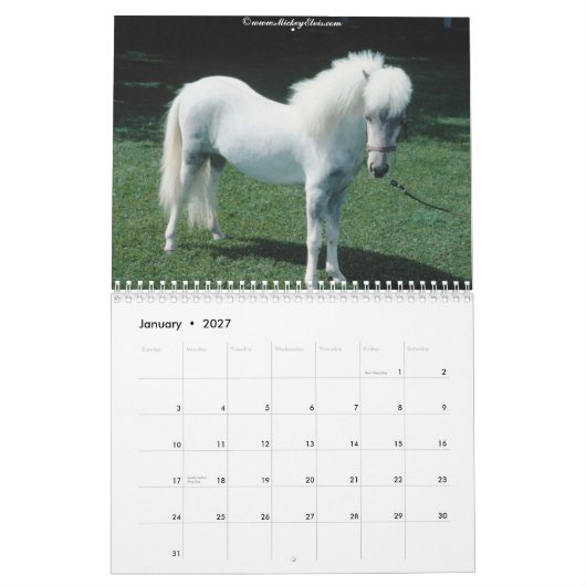 Mooie Horse 2010-agenda Kalender (Jan 2027)